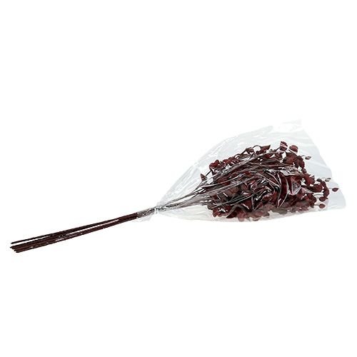 Floristik24 Deco branch dark red 74cm 6pcs