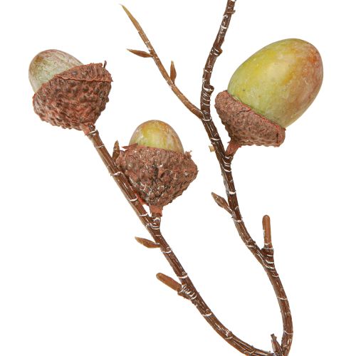 Floristik24 Decorative branch acorns decoration green autumn decoration artificial 80cm