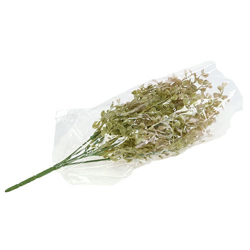 Floristik24 Decorative branch light green 35cm