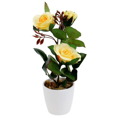 Floristik24 Decorative rose in a yellow pot 23cm