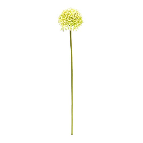 Floristik24 Deco allium cream Ø6.5cm L39cm