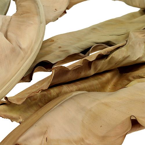 Floristik24 Decorative leaves natural 120cm 20 pcs