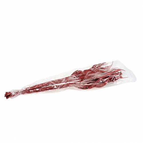 Floristik24 Decorative Leaves Strelitzia Red 85-105cm 10 pcs