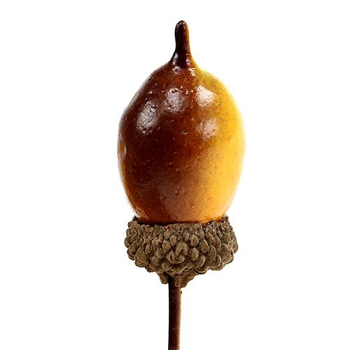 Floristik24 Decorative acorn on wire 4cm L12cm 36pcs
