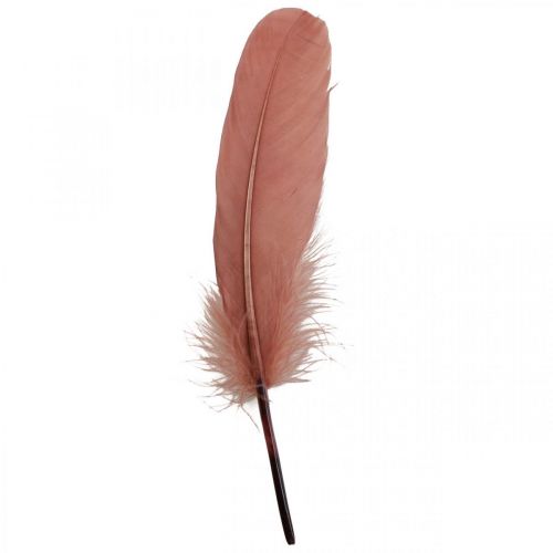 Decorative feathers for handicrafts Dusky pink real bird feathers 20g