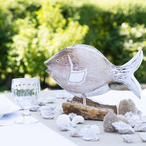 Floristik24 Decorative fish wooden stand on root maritime decoration 27cm