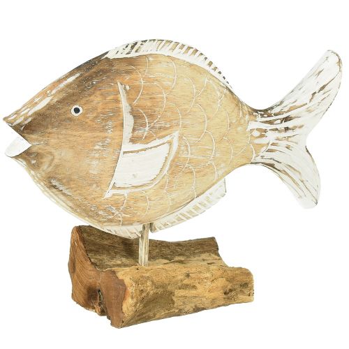 Floristik24 Decorative fish wooden stand on root maritime decoration 27cm