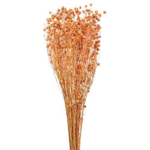 Product Decorative flax dried flowers apricot natural 80g boho decoration