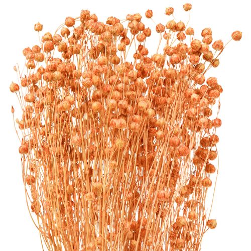 Product Decorative flax dried flowers apricot natural 80g boho decoration