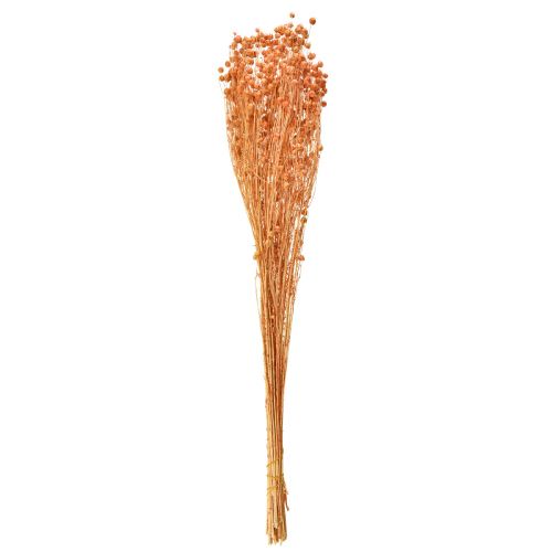 Product Decorative flax dried flowers apricot natural 80g boho decoration