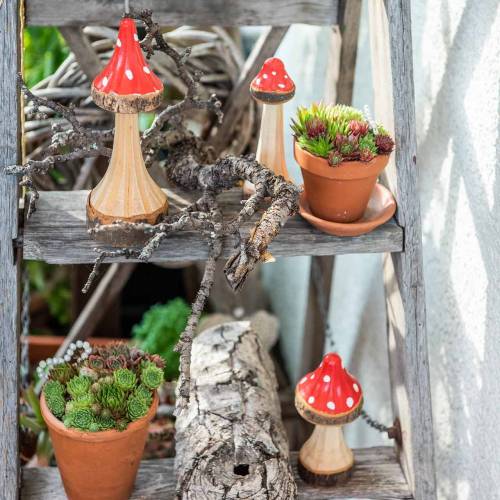 Floristik24 Decorative toadstools made of wood red, natural 13.5cm - 19cm 3pcs