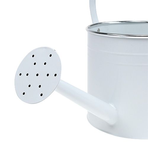 Floristik24 Decorative watering can white Ø17cm H17cm 1p