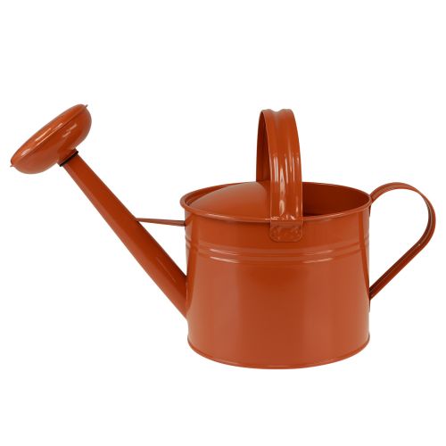 Product Metal decorative watering can in country style, orange-brown, 26cm, 5L - Versatile use as a planter &amp; decorative can