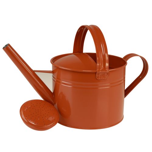 Product Metal decorative watering can in country style, orange-brown, 26cm, 5L - Versatile use as a planter &amp; decorative can