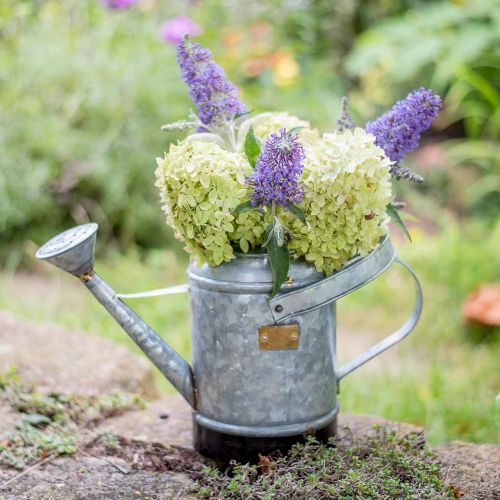 Product Decorative watering can metal plant pot hanging basket antique look 40×18×22cm