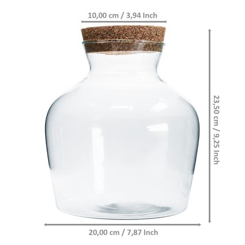 Floristik24 Decorative glass with cork Decorative vase clear bulbous Ø20cm H21cm