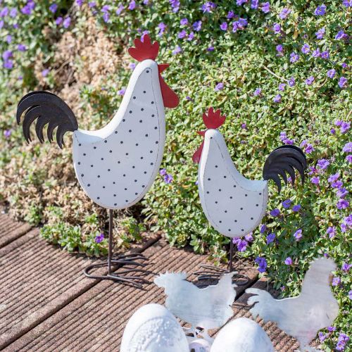 Product Decorative rooster wood dotted white decorative figure Easter H21cm 2pcs