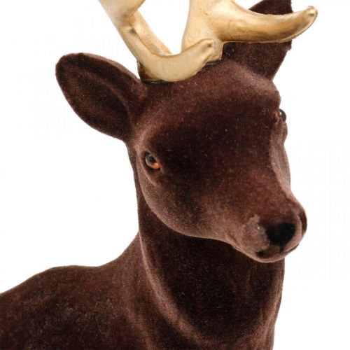 Floristik24 Deco deer big brown gold decoration figure Christmas 40cm