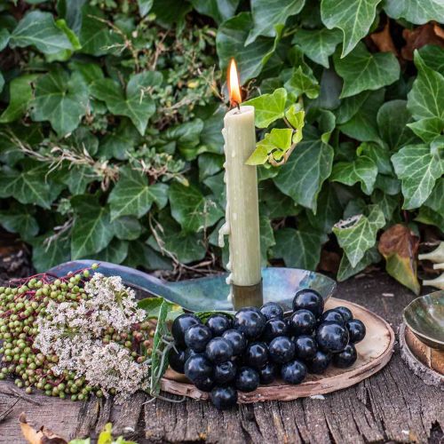 Floristik24 Decorative wood disc flamed Rustic wood decoration plywood Ø20cm