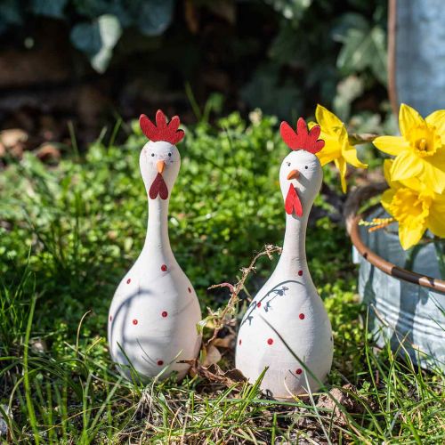 Floristik24 Decorative chicken wood white with dots Easter figure Ø7cm H20cm