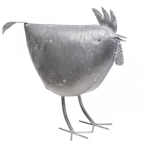 Floristik24 Decorative chicken metal decoration metal bird zinc 51cm×16cm×36cm