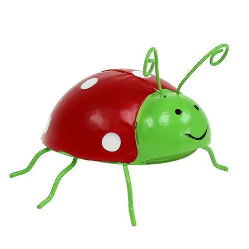 Floristik24 Decorative beetles assorted colors 8cm 3pcs