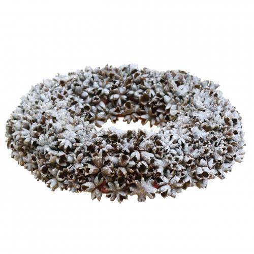 Floristik24 Decorative wreath star anise with glitter washed white Ø20cm