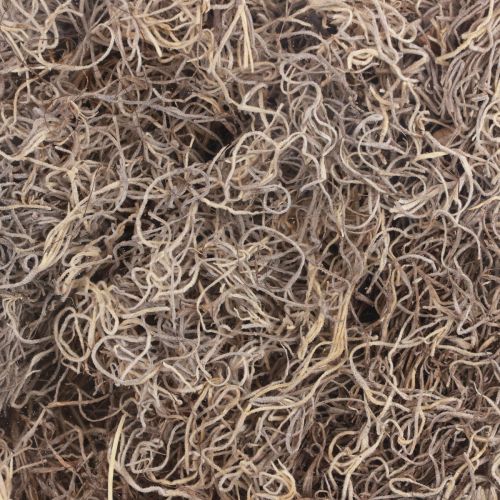 Floristik24 Decorative moss dried forest moss natural brown natural decoration 300g