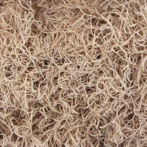Product Decorative moss dried forest moss bleached natural decoration 300g