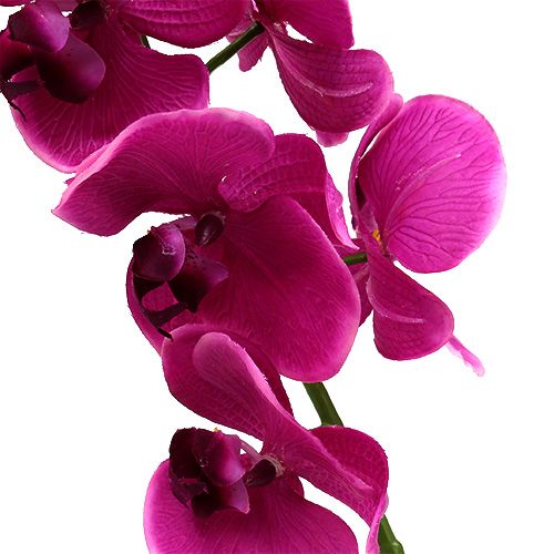 Product Decorative orchid pink L77cm