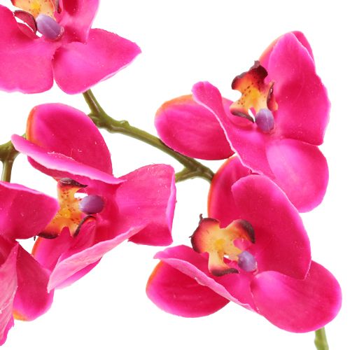 Product Artificial orchid Fuchsia 77cm
