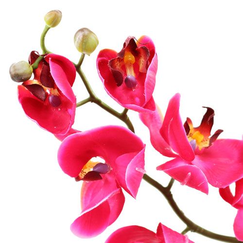 Floristik24 Decorative orchid in fuchsia 77cm
