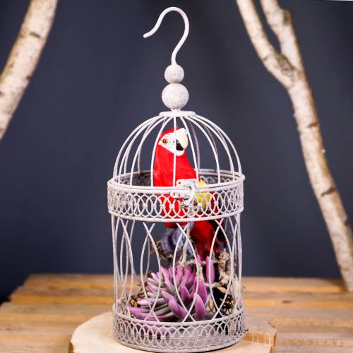 Floristik24 Deco parrot red 44cm