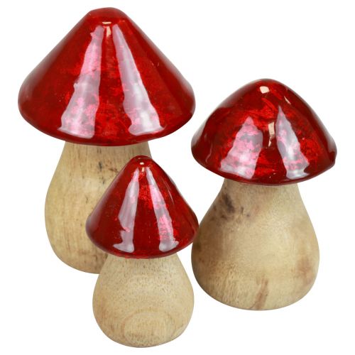 Product Decorative mushrooms wooden mushrooms red gloss autumn decoration H6/8/10cm set of 3