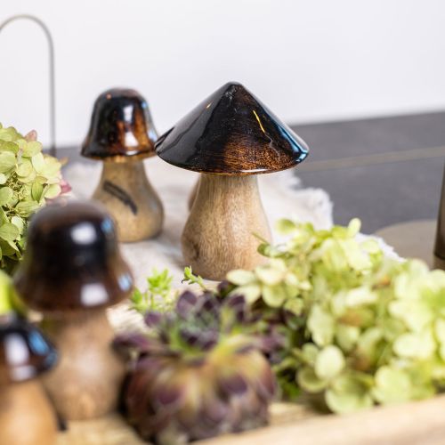 Product Decorative mushroom wooden mushroom natural brown gloss effect Ø7.5cm H10cm