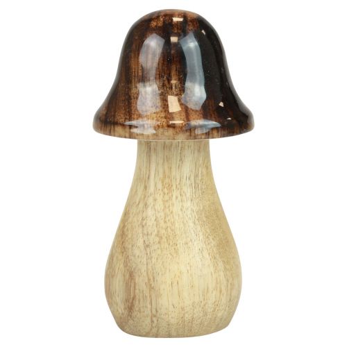 Floristik24 Decorative mushrooms wooden mushrooms brown gloss effect autumn decoration H6/8/10cm