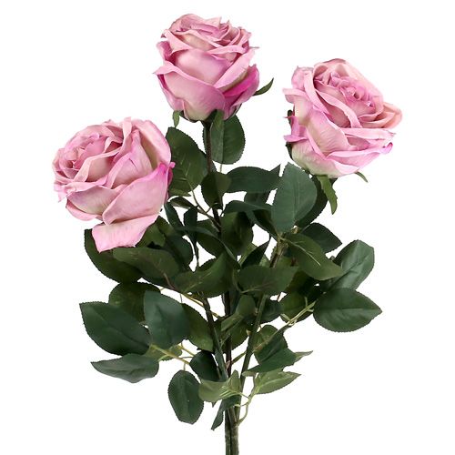 Floristik24 Decorative rose filled old pink Ø10cm L65cm 3pcs