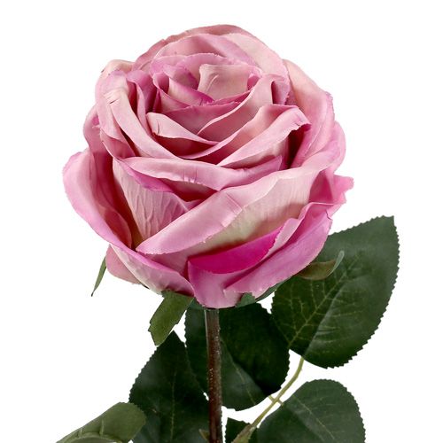 Product Decorative rose filled old pink Ø10cm L65cm 3pcs