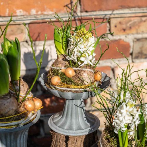 Floristik24 Decorative bowl with foot metal bowl vintage H12cm Ø17cm