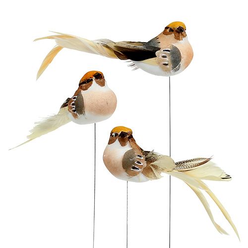 Floristik24 Decorative bird on wire brown 15cm 9pcs