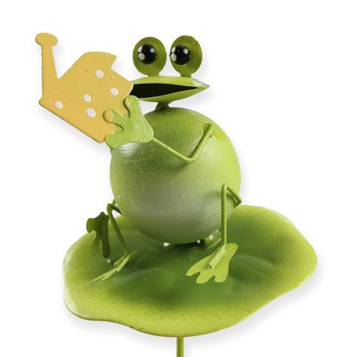 Floristik24 Decorative frogs with garden tools on a stick 6pcs