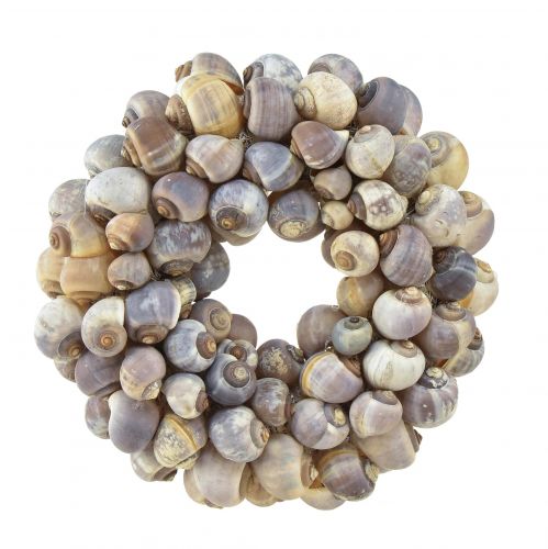 Floristik24 Decoration maritime snail wreath for hanging sea snails Ø25cm