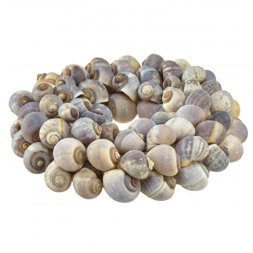Floristik24 Decoration maritime snail wreath for hanging sea snails Ø25cm
