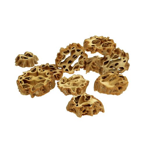 Floristik24 Nut slices 2cm natural 250g