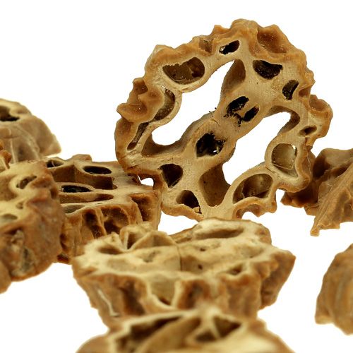 Floristik24 Nut slices 2cm natural 250g