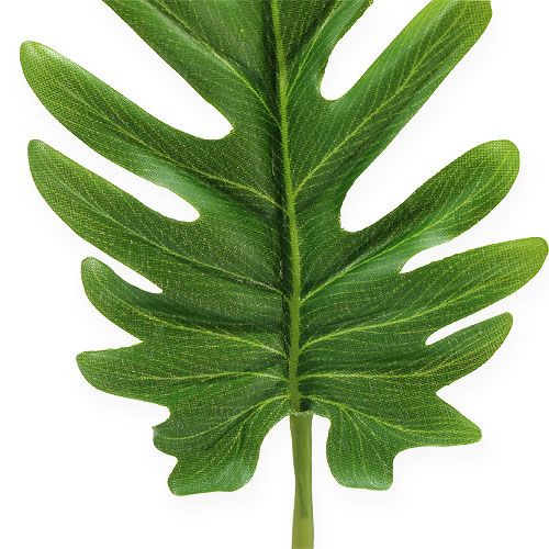 Floristik24 Decorative leaves Philodendron green W11cm L34cm 6pcs