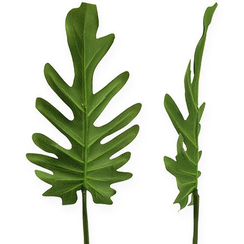 Floristik24 Decorative leaves Philodendron green W11cm L34cm 6pcs