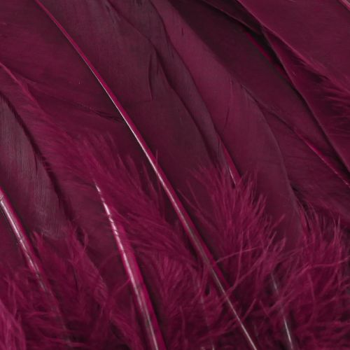 Product Decorative feathers burgundy goose feathers craft supplies 20g x 2pcs