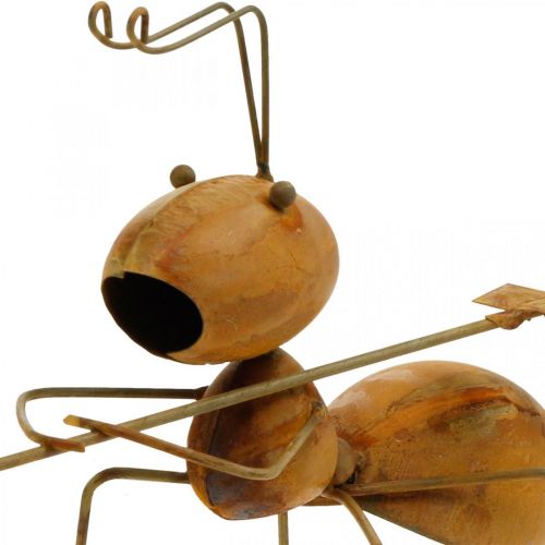 Floristik24 Decorative figure ant metal with rake garden decoration rust 21,5cm