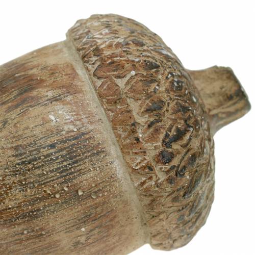 Floristik24 Decorative figure acorn brown 11cm x 8cm x 7cm 3pcs